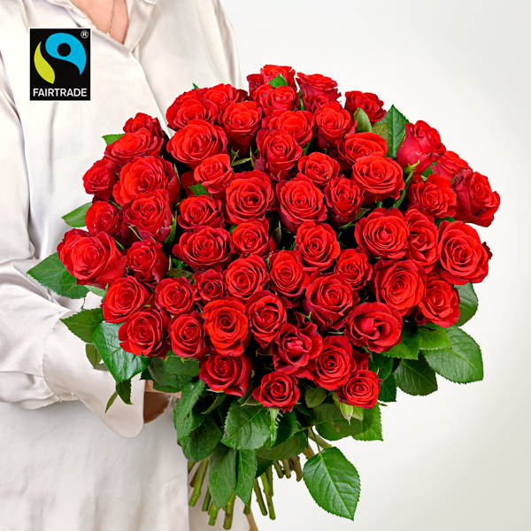 50 rote Fairtrade Rosen im Bund