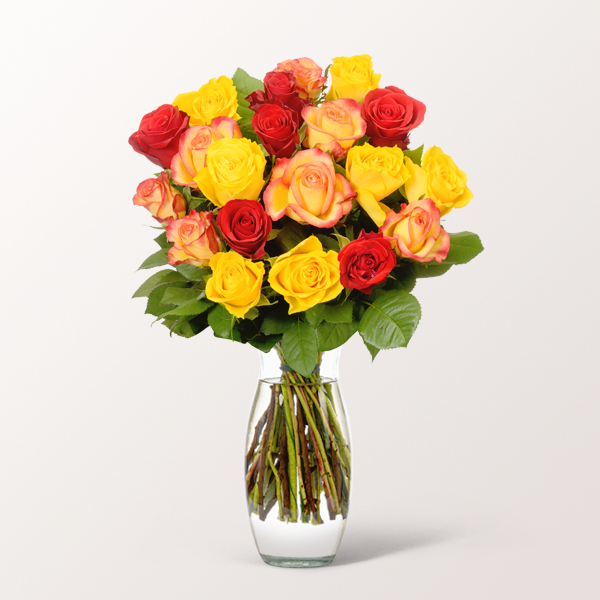 20er Rosenbund Indian Summer