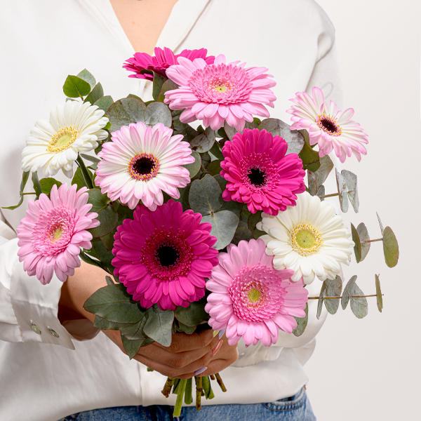 10 wunderschöne Germini mit Eukalyptus