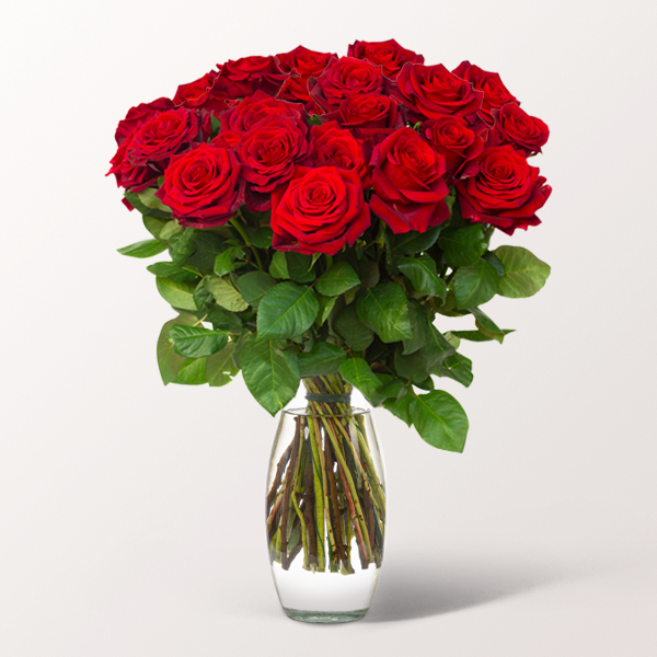 20 rote Valentinstags-Rosen im Bund