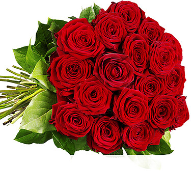 Rote Premiumrosen Rote Premiumrosen