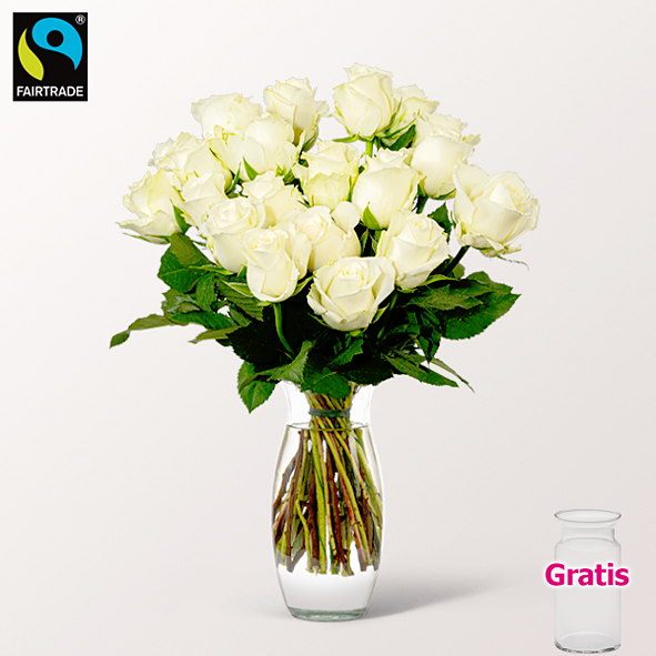 20 weiße Fairtrade Rosen im Bund mit Vase