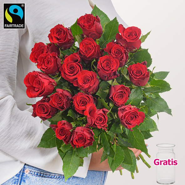 Rote Fairtrade Rosen im Bund mit Vase