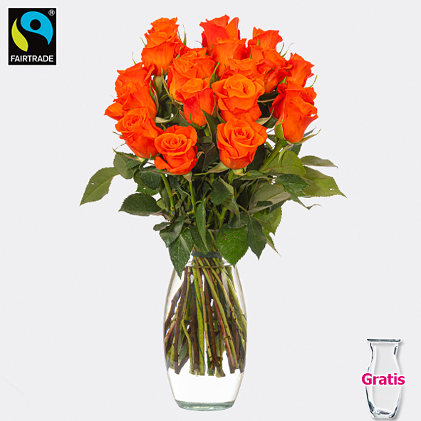 Orange Fairtrade Rosen im Bund mit Vase
