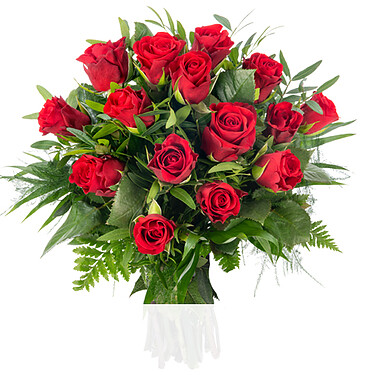 rote Rosen rote Rosen