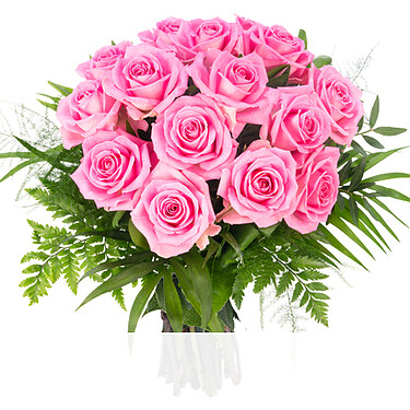 rosa Rosen rosa Rosen