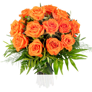 orange Rosen orange Rosen