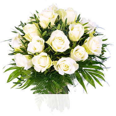 weiße Rosen weiße Rosen