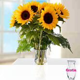 7 Sonnenblumen im Bund mit Vase