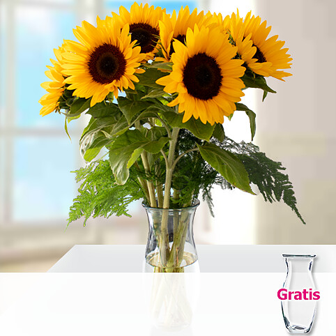 7 Sonnenblumen im Bund mit Vase