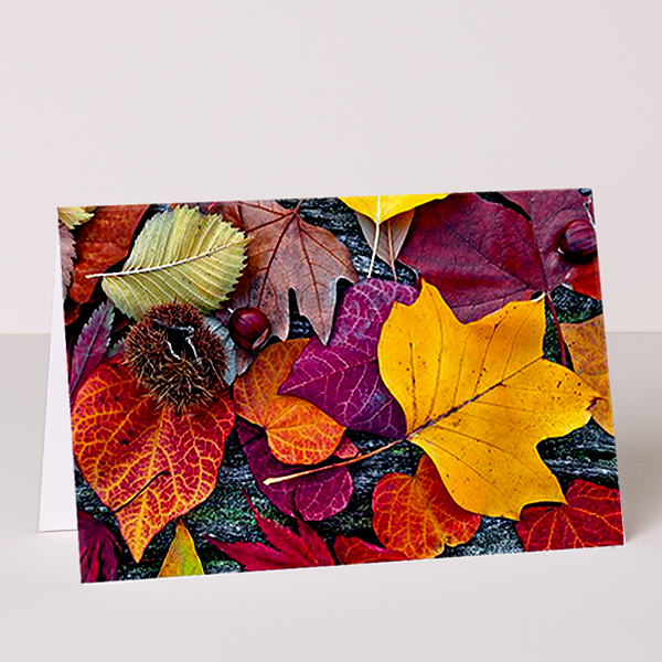 Motivkarte Neutral Herbstlaub