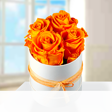 4 orange haltbare Rosen 4 orange haltbare Rosen
