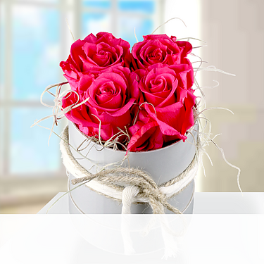 4 pink haltbare Rosen 4 pink haltbare Rosen