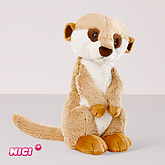 Erdmännchen