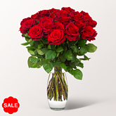 Rote Rosen im Bund