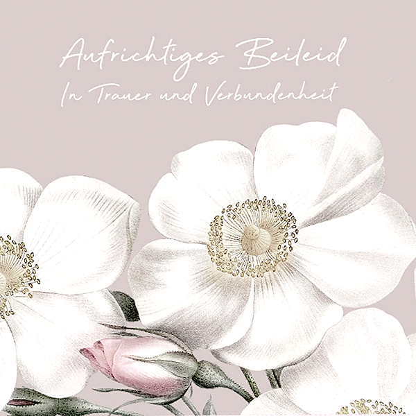 Motivkarte "Aufrichtiges Beileid"