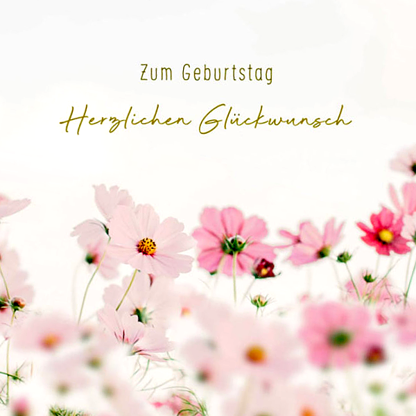 Motivkarte "Zum Geburtstag - Herzlichen Glückwunsch"