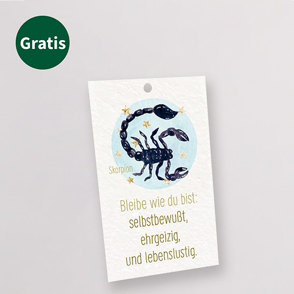 Sternzeichen-Blumenstecker „Skorpion“
