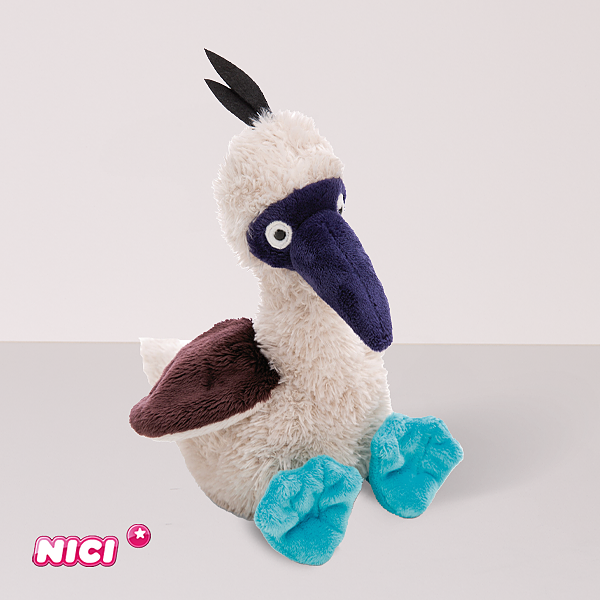 Blaufußtölpel Sula