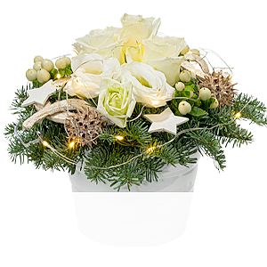 Arrangement <br>Snow White