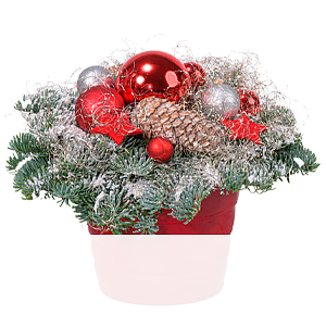 Weihnachts-<br>Arrangement Joy