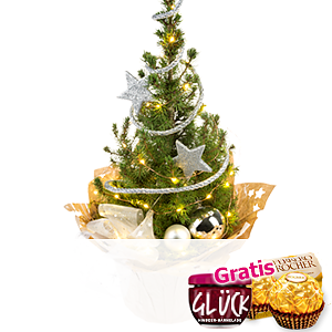 Baum Stern-<br>schnuppe