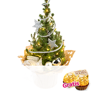 Baum Stern-<br>schnuppe