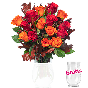 15 herbstliche <br>Rosen