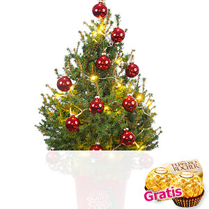 Weihnachtsbaum <br>Little Santa