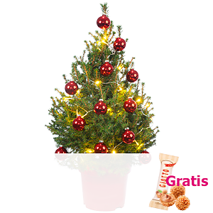 Weihnachtsbaum <br>HoHoHo