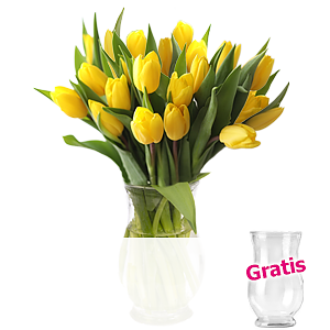 20 gelbe Tulpen <br>im Bund
