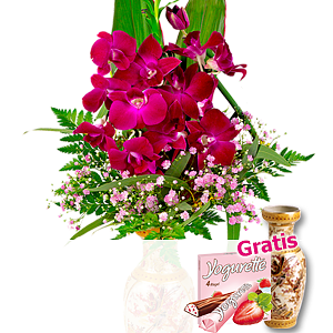 Asiatische <br>Orchideen