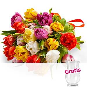 20 bunte Papageien-<br>Tulpen