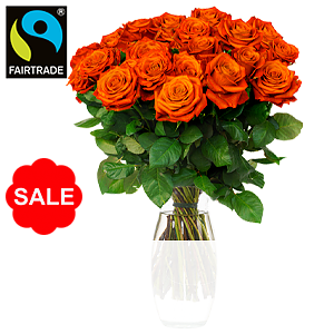 Orange Rosen <br>im Bund