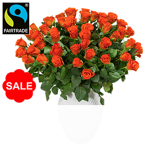 50 orange <br>Premiumrosen 