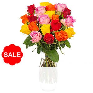 20er bunte Rosen <br>im Bund