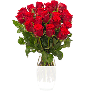 20 rote Rosen <br>im Bund