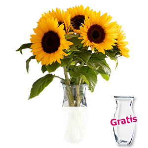 5 Sonnenblumen <br>im Bund