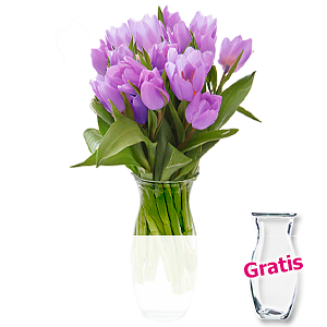 20 lila Tulpen <br>im Bund