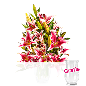10 rosa-weiße Lilien <br>im Bund