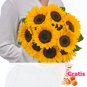 Sonnenblumen <br>im Bund