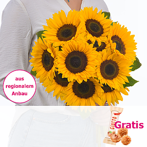 Sonnenblumen <br>im Bund