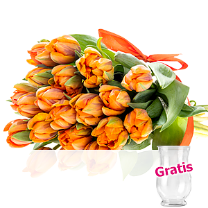 20 orange Tulpen <br>im Bund