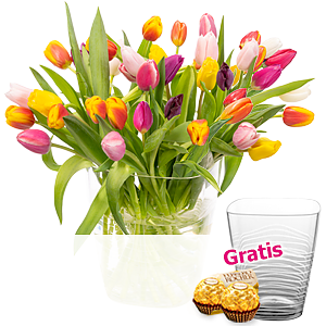 40 Tulpen <br>im Bund