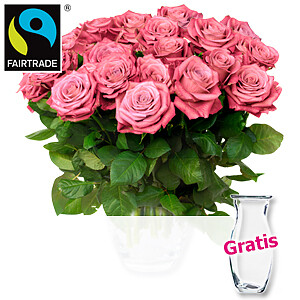 20 rosa Rosen <br>im Bund