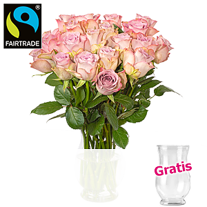 20 rosa Rosen <br>im Bund