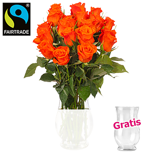 20 orange Rosen <br>im Bund