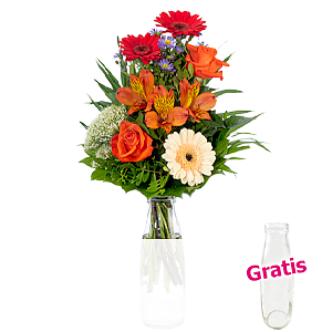 Arrangement Sommer-<br>strahlen