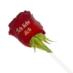 Edelrose "Ich <br>liebe Dich"