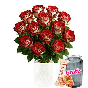 15 Premium-<br>Weihnachtsrosen